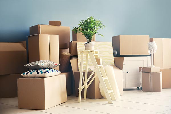 Packers and Movers
