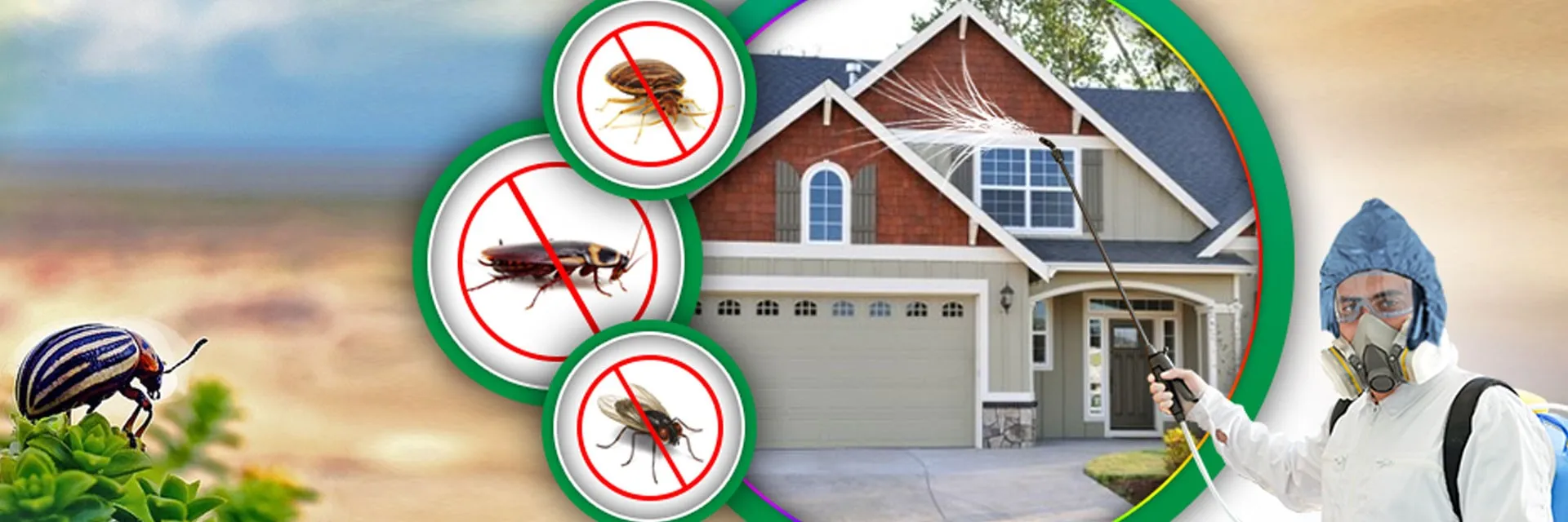 Best Pest Control Service in Raipur