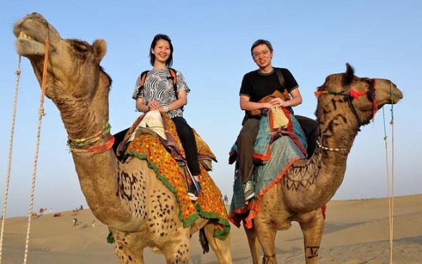 Camel Safari Pushkar